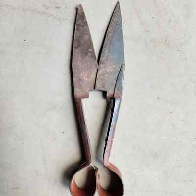 Shears