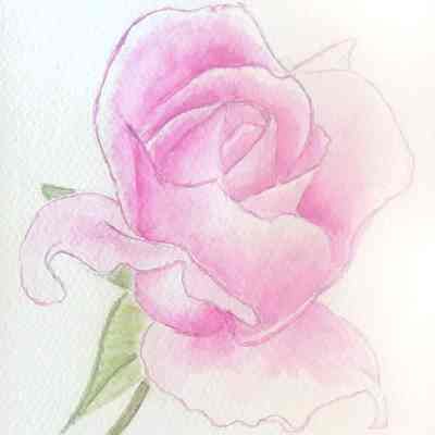 Maya Lawrence - A Rose From My Garden - Viamonte