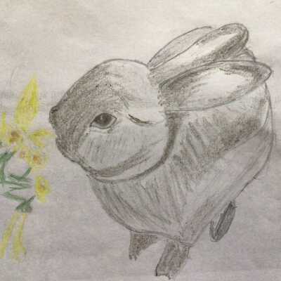 Fenie Zhang - Bunny - Lytton Gardens