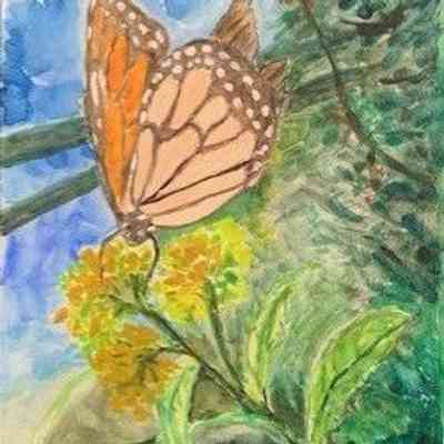 On Lok SJ - Butterfly