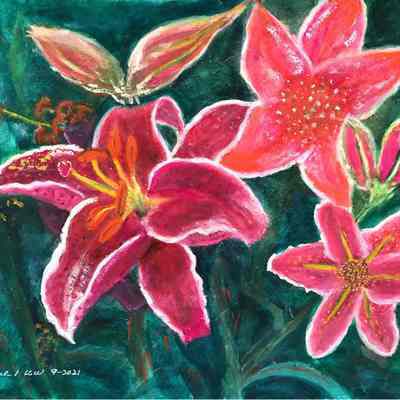 REUT - Christine Wasserbauer - Stargazers