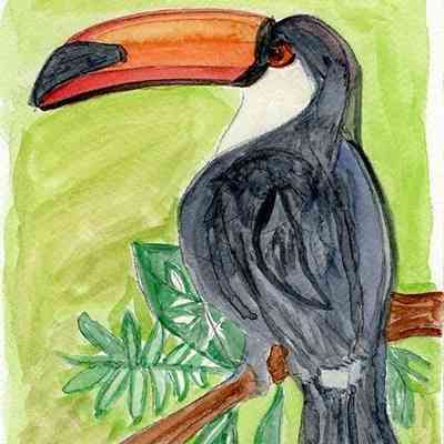 Openhouse Fri. - Richie Golden - Toucan - 9x6 wc - Selected