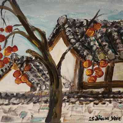 Jones Senior Homes - Diana Yoon - Rooftops