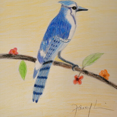 Fanny Liu - Blue Jay - Curry Senior Center