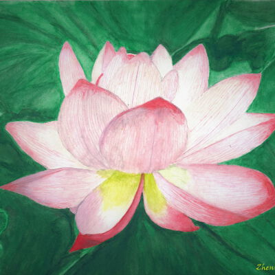 Zhen Yu Gong - Lotus Flower - On Lok Peralta
