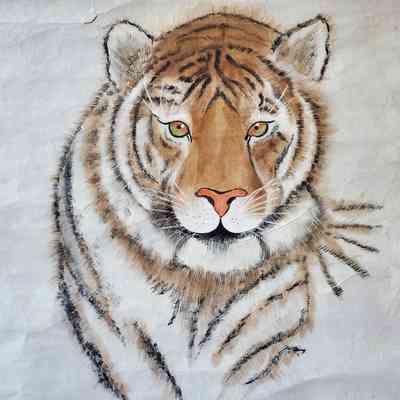 VVFC - Shirley Cheung - Tiger