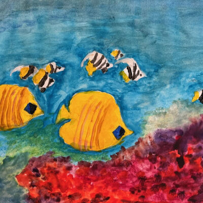 Leattie Weiss - Reef - The Carlisle
