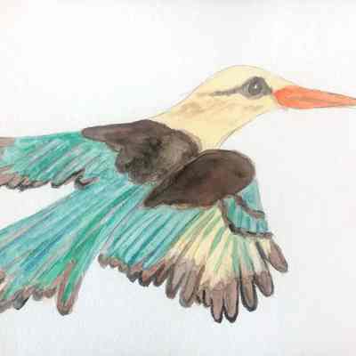 Olivia Moore-Jones - King Fisher - Viamonte