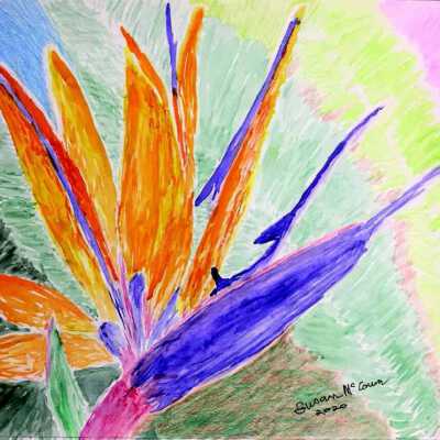 Vallejo Hills Retirement Community - Susan McCown - Bird of Paradise