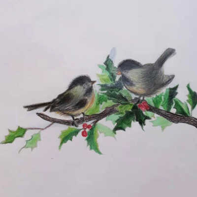 Fanny Lui - The Conversation, Birds on Holly Branch - Visatacion Valley