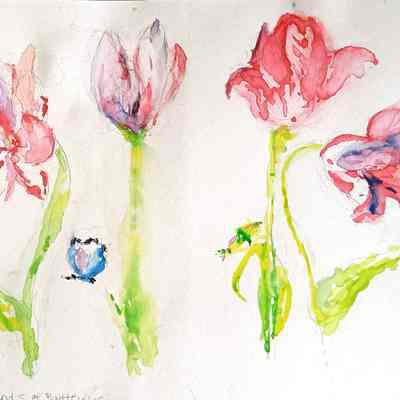 Anne Adelmann - Four Friends of Butterflies