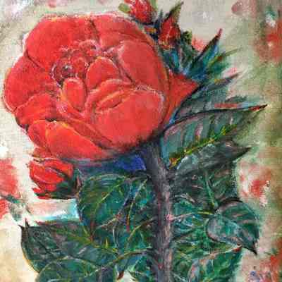 Visitacion Valley - Yue Situ - Rose