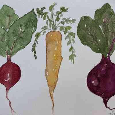 Viamonte - Gloria Cabral - Farm Fresh