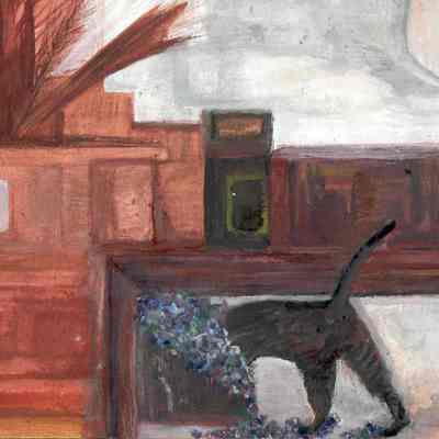 Curiousity - Pearl Pooner = Mission Plaza
