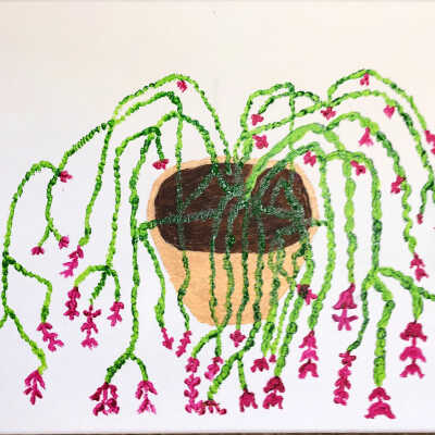 Kay Talbot - Christmas Cactus - Open Studios