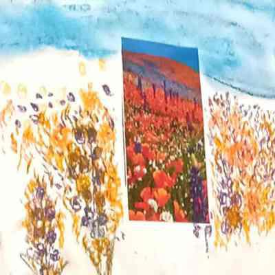 Lucia Lamassonne - Flowers - Ivy Park