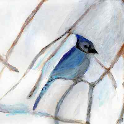 Cypress - Christabel Bergbauer - Blue Jay - Cypress Golden Gate