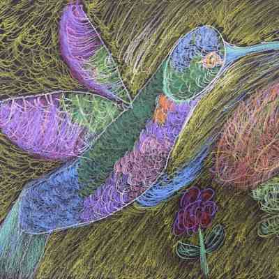 Fairmont - Dr. Qing Xu - Hummingbird - 9x12 col pencil on blk paper - Selected
