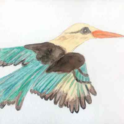 Viamonte - Olivia Moore-Jones - King Fisher