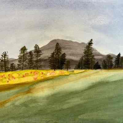 Joyce Lampert – Forest and Field - SF Towers