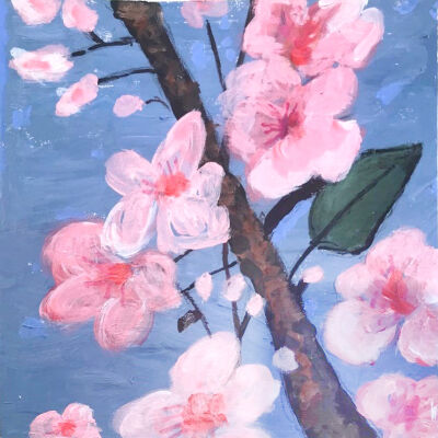 Cherry Blossoms - Paula Tschida - Open Studio