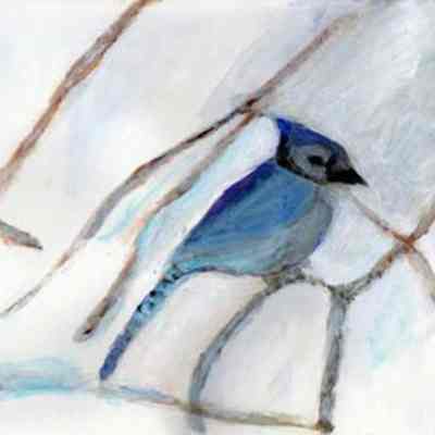 Cypress GG - Christabel Bergbauer - Blue Jay