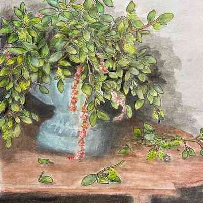 Viamonte - Sandra Hartz - Abundance - Selected