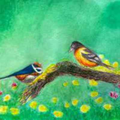 SF Senior Center - Lina Kwan - Spring