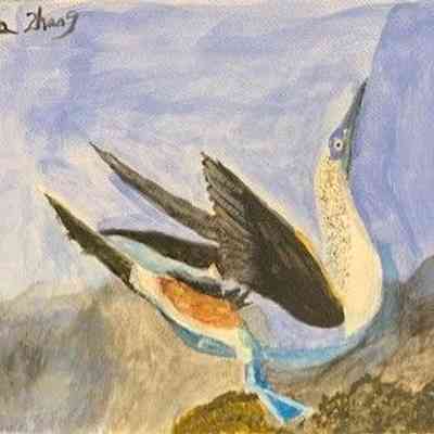 On Lok SJ - Bird - Lisa Zhang