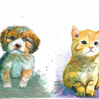OLG - Mei Kuo Chen - Cat and Dog