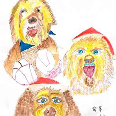 Chau Fung Ho - Three Naughty Dogs - On Lok Gee