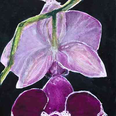 Reutlinger Community - Christine Wasserbauer - Dancing Orchids #3 - Selected