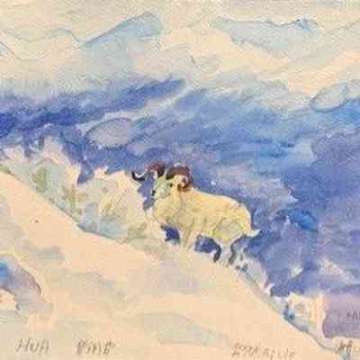 On Lok SJ - Mountain Goat