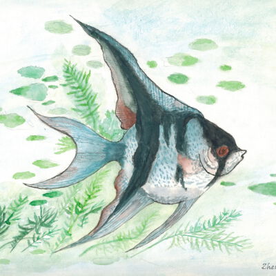 Zhen Yu Gong - Topical Fish - On Lok Chinese