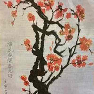 SF Senior Center - Shiquan Li - Chinese New Year
