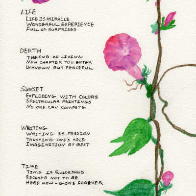 Kay Matsuda - Words - The Sequoias