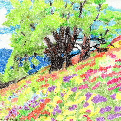 John Lindgren - California Dreamin' - Laguna Honda Hospital