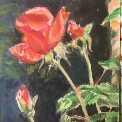 Yue Situ - Poppy - Visitacion Valley
