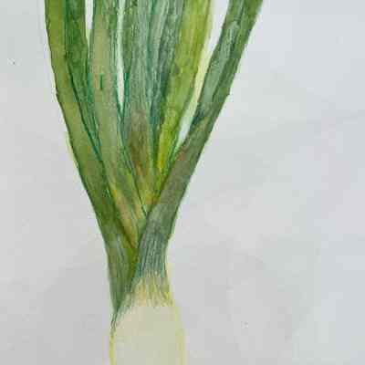 Carlisle - Joanne Prieur - Leeks