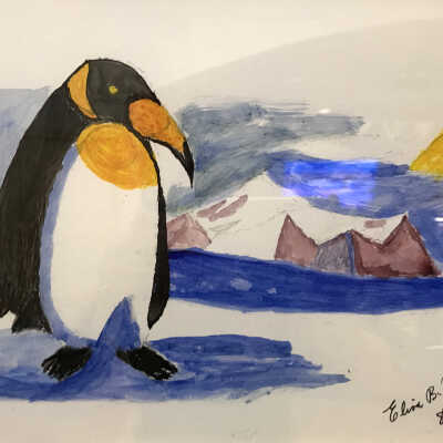 Elisa Benedicto - Penguin