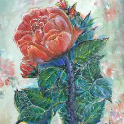 Visitacion Valley - Yue Situ - Rose