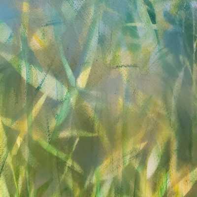 Kim Ringle - Bamboo - Openhouse