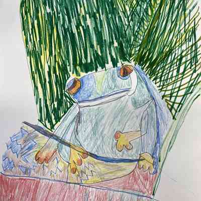 Fairmont - Annie Martin - Cool Frog - 9x12 col pencil and marker - Selected