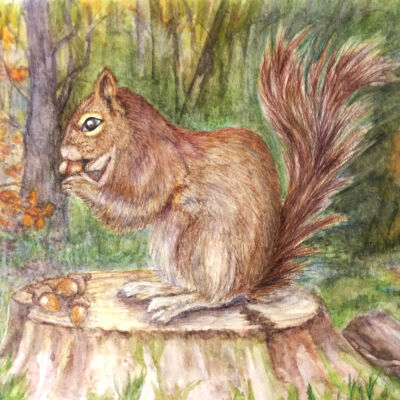 Chieko Lafferty - The Squirrel - Western Park Apts