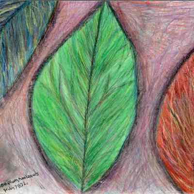 One Plum, two leaves - Pearl Pooner - Mission Plaza