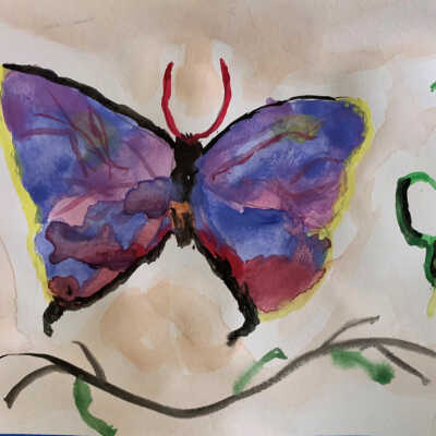 Beresford Amoroso - Butterfly - Cypress Golden Gate -