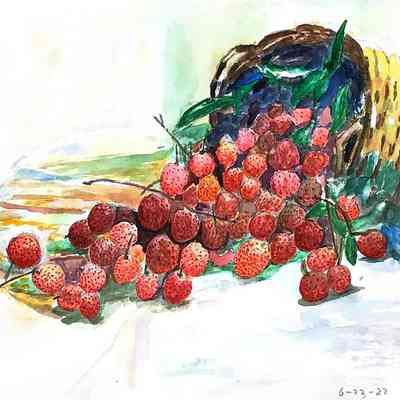 OLG - Dan Bao Xie - Basket of Lychees