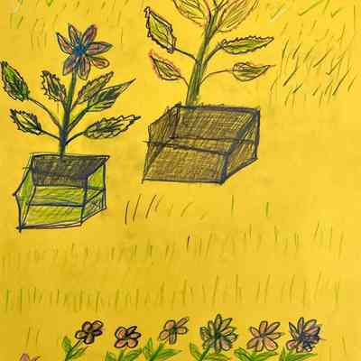 SF Senior Center - Nasrin Ramezani - Nature - 8.5x11 col pencil - Selected