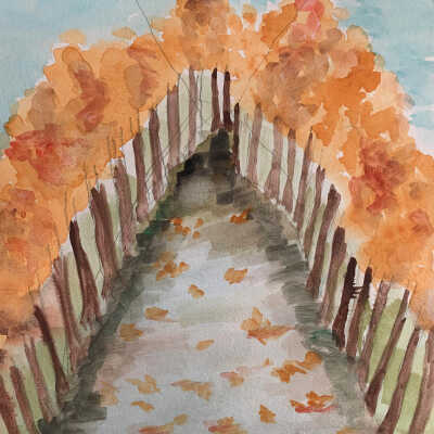 Rosemary Lee - The Path - Cypress Golden Gate