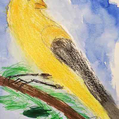 Oakwood Atherton - Sr. Emma Fernandez - Yellow Bird